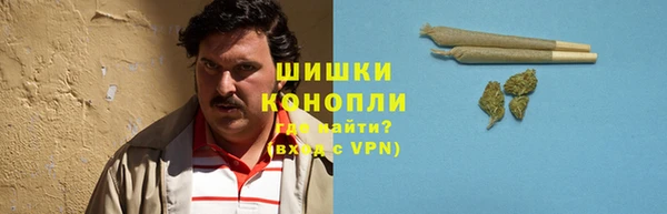 шишки Абаза
