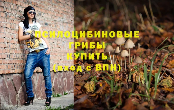 синтетический гашиш Алексеевка