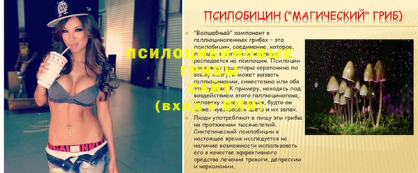 синтетический гашиш Алексеевка