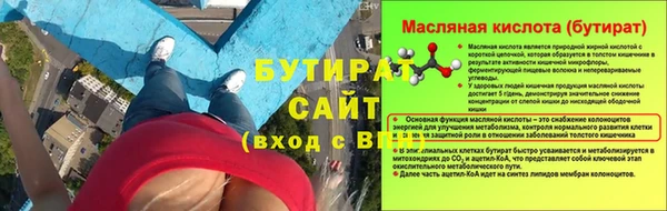 гидра Няндома