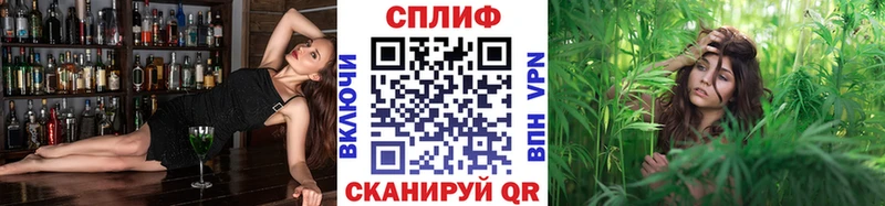 OMG tor  Кизилюрт  Марихуана конопля 